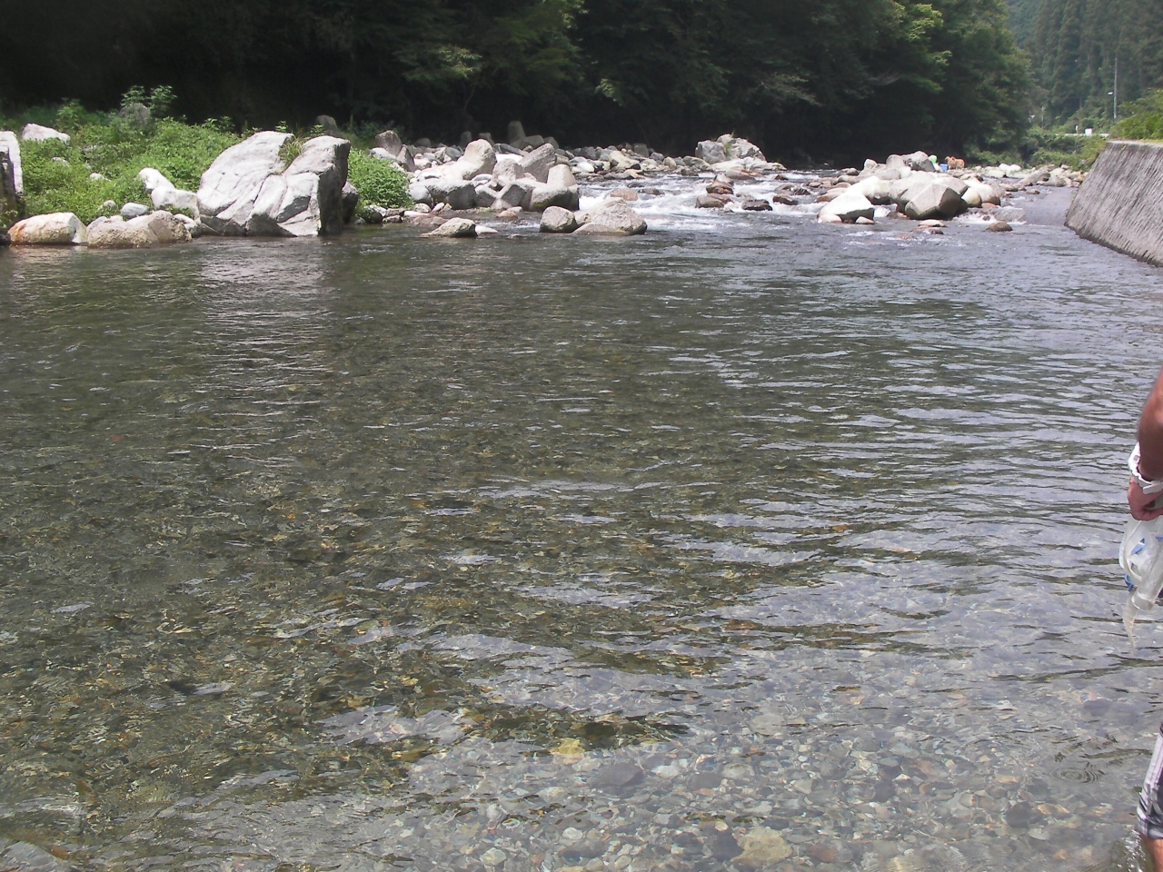13年8月 ワンコと行く川遊び 鹿沼その１ 栃木県の旅行記 ブログ By ｑ太さん フォートラベル