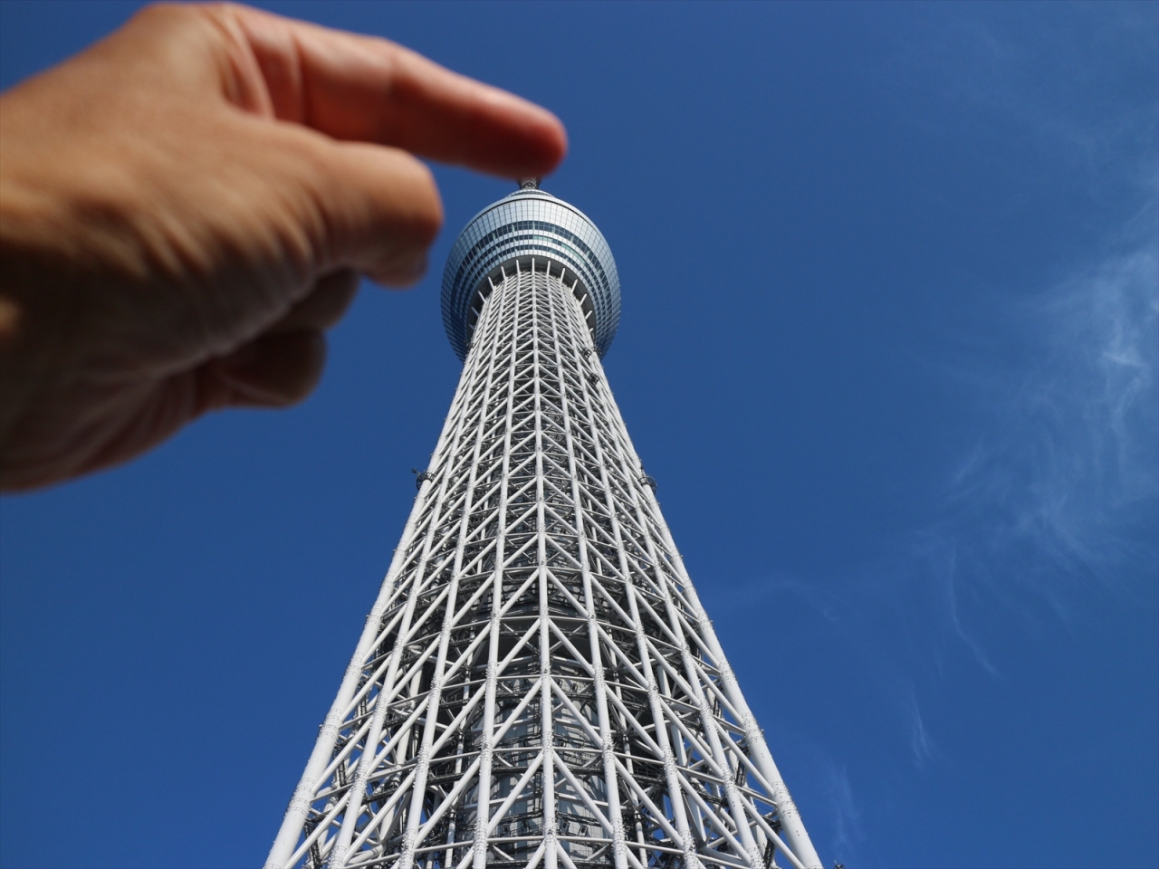 不忍池の蓮とスカイツリーを目指してお散歩 浅草 東京 の旅行記 ブログ By コタさん フォートラベル