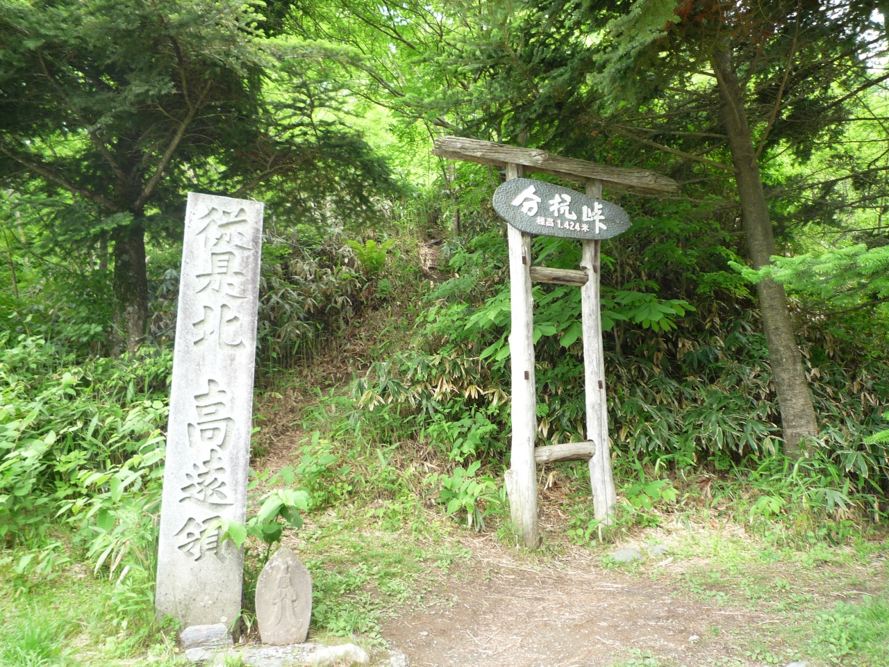 磁場 は ゼロ と