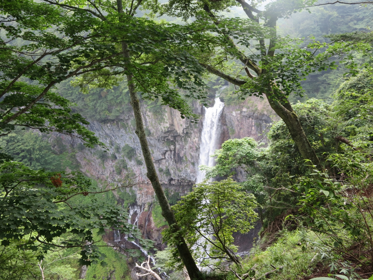 息子と日帰りボロボロ二人旅 栃木 今市 日光 日光 栃木県 の旅行記 ブログ By 愛りんご2さん フォートラベル 息子と日帰りボロボロ二人旅 栃木 今市 日光 日光 栃木県 の旅行記 ブログ By 愛りんご2さん フォートラベル