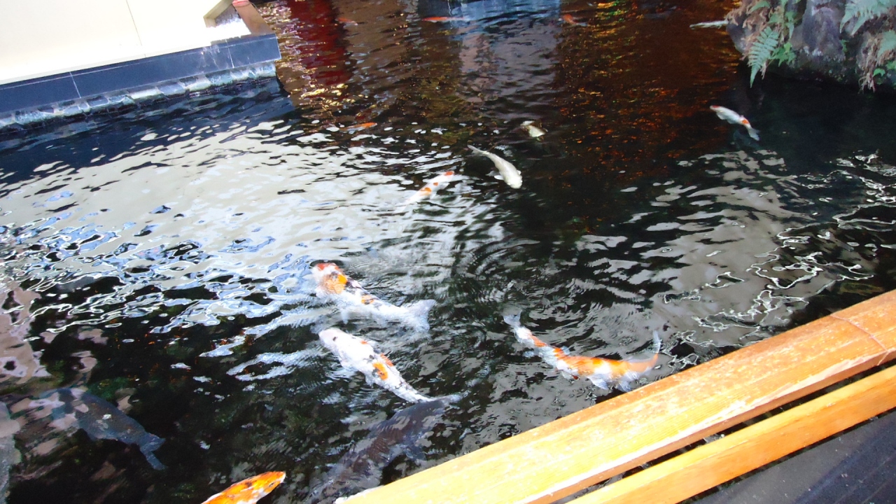 秋保温泉日帰り温泉 ホテル瑞鳳編 秋保温泉 宮城県 の旅行記 ブログ By Rtfkwさん フォートラベル