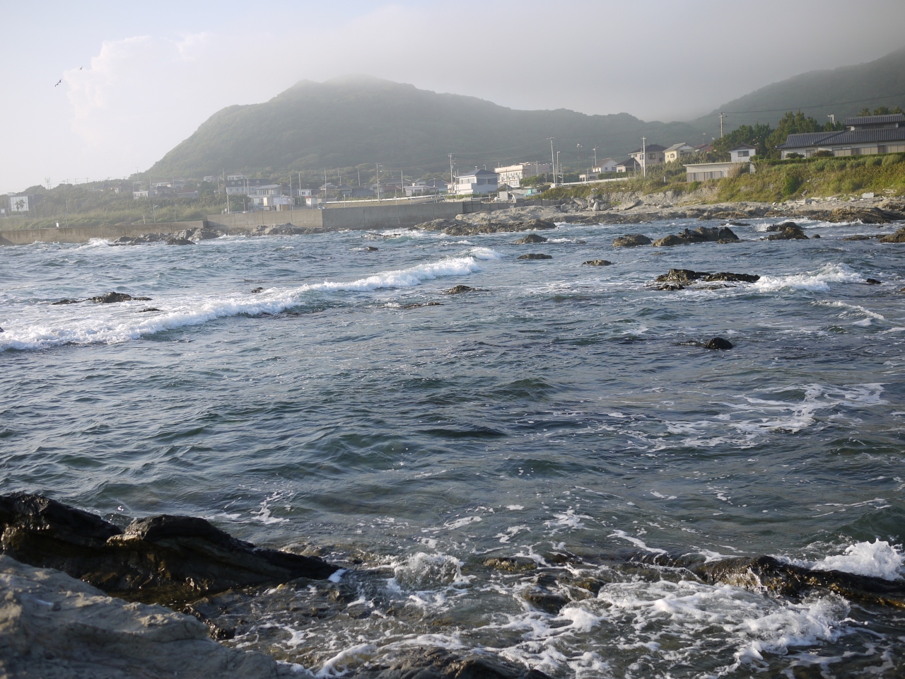 海の幸満喫 磯遊び 館山 千葉県 の旅行記 ブログ By みつさん フォートラベル