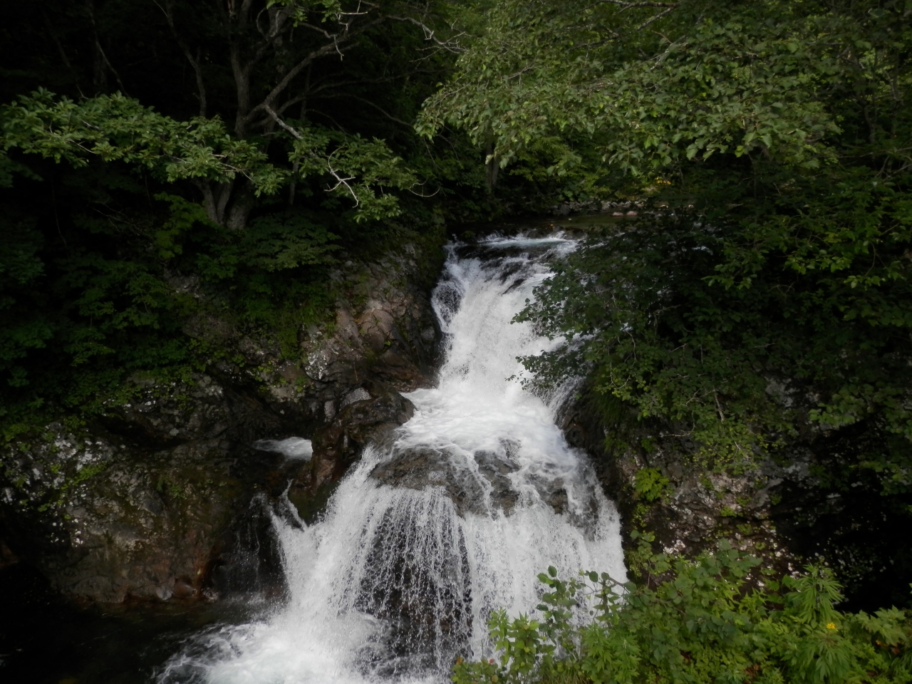 伊達市の大滝村で 白老 大滝 北海道 の旅行記 ブログ By Tabinakanotaekoさん フォートラベル 伊達市の大滝村で 白老 大滝 北海道 の旅行記 ブログ By Tabinakanotaekoさん フォートラベル
