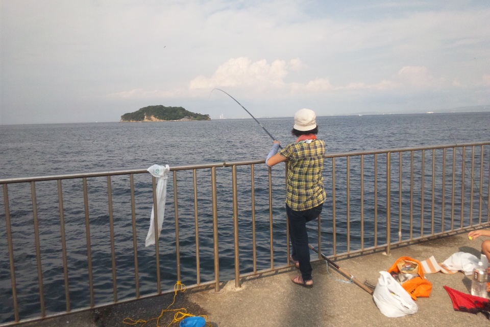 横須賀でワラサが釣れたよ 昨日は 神奈川県の旅行記 ブログ By ころたさん フォートラベル
