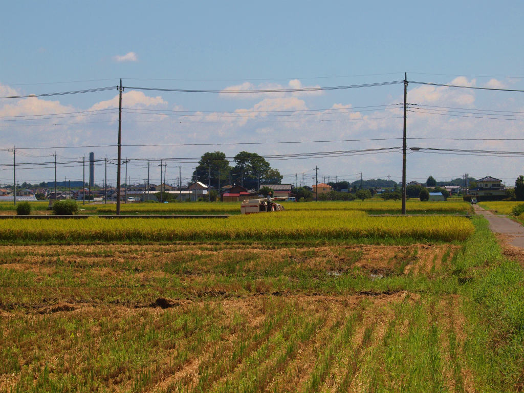 北川辺町