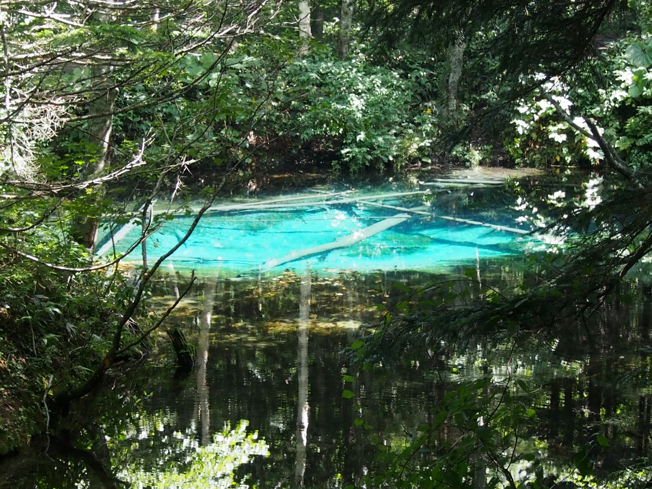 神の子池を見に行く道東の旅 摩周 弟子屈 北海道 の旅行記 ブログ By Aimeiさん フォートラベル