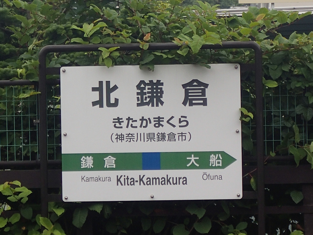 ｒ60 鶴 私の鎌倉散歩道 北鎌倉から常楽寺 鎌倉 神奈川県 の旅行記 ブログ By コゲメシ 徘徊録さん フォートラベル
