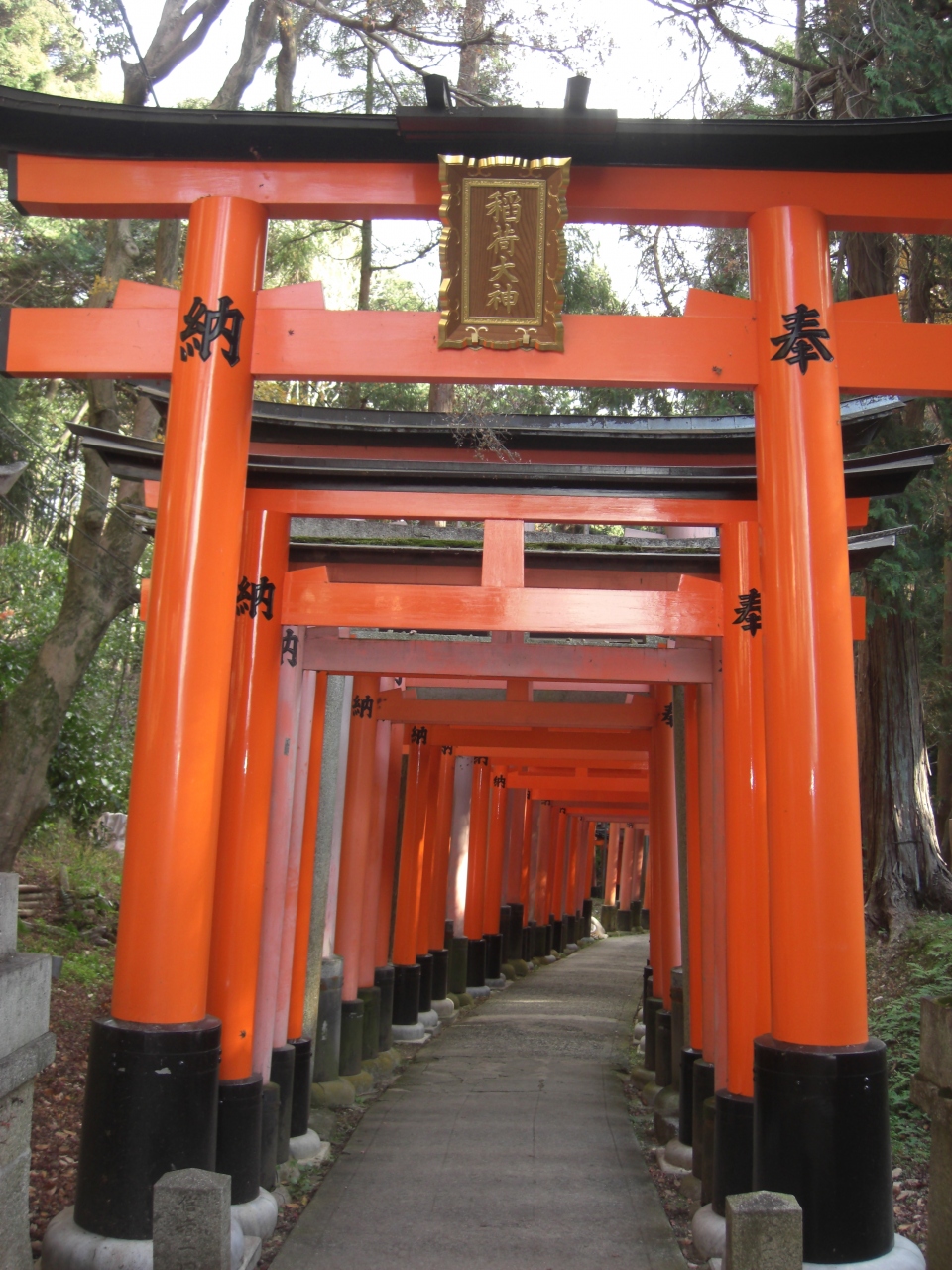 手軽に参拝かと思いきや奥が深いぜ 伏見稲荷大社 伏見 京都 の旅行記 ブログ By Uzさん フォートラベル