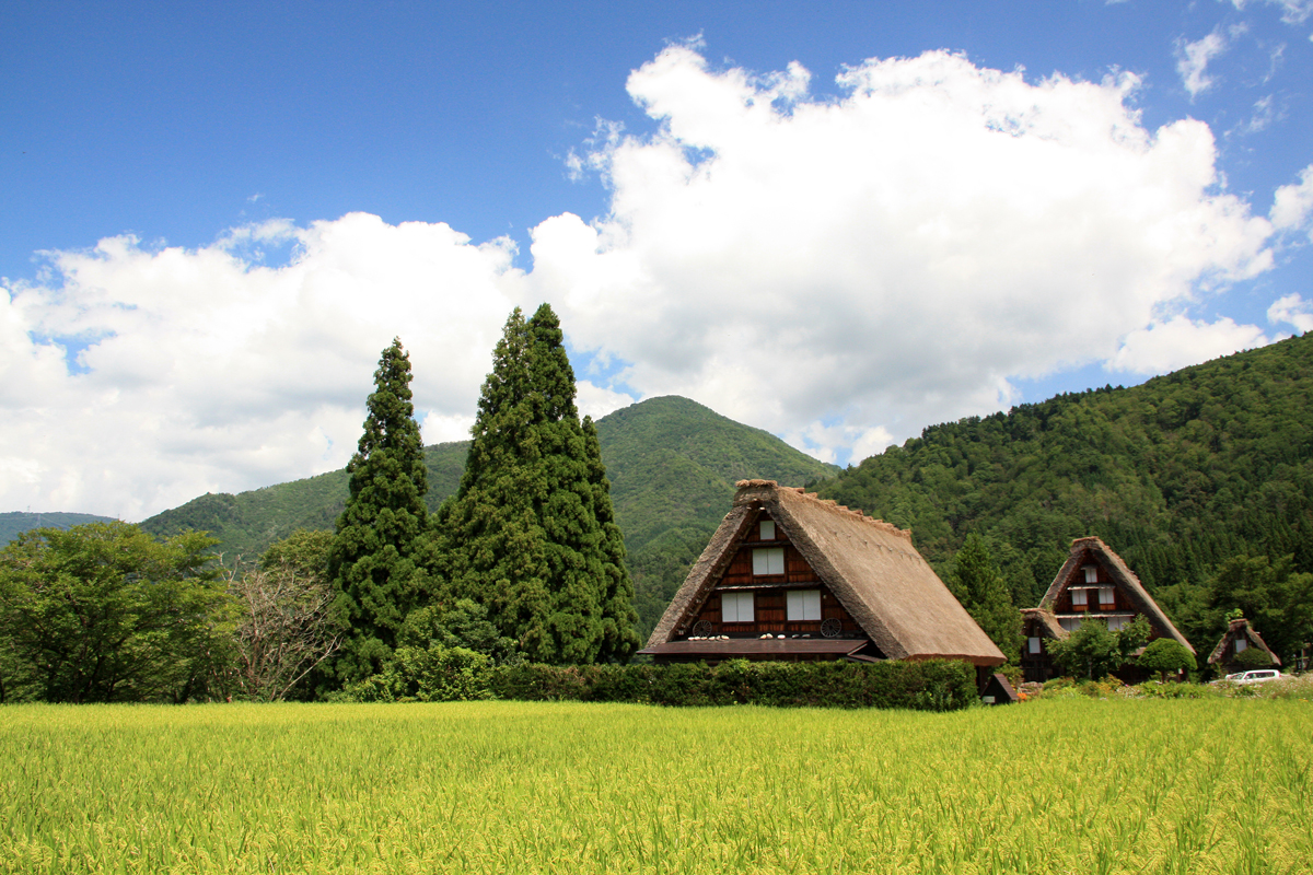 夏の合掌造り 白川郷 岐阜県 の旅行記 ブログ By Cielさん フォートラベル