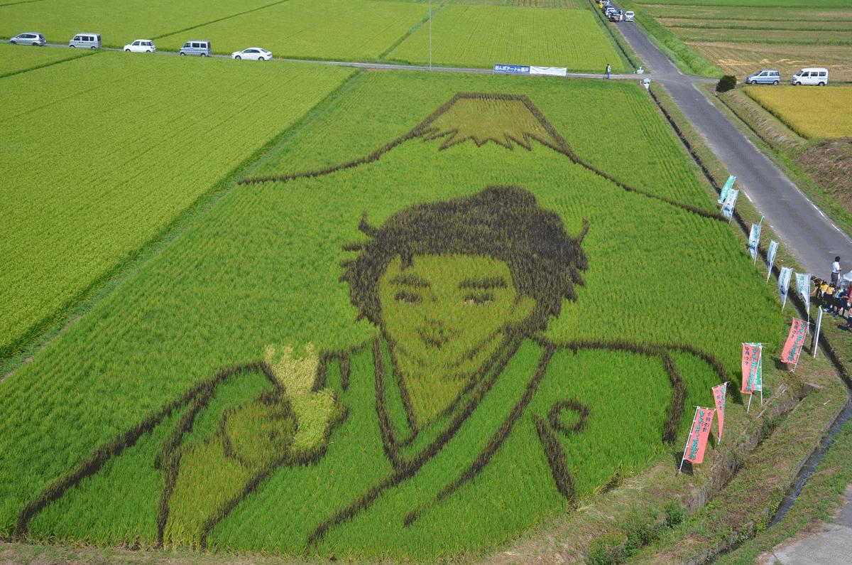 菊川田んぼアートを見てきました ２０１３ ０９ ０７ 静岡県の旅行記 ブログ By てんとう虫さん フォートラベル