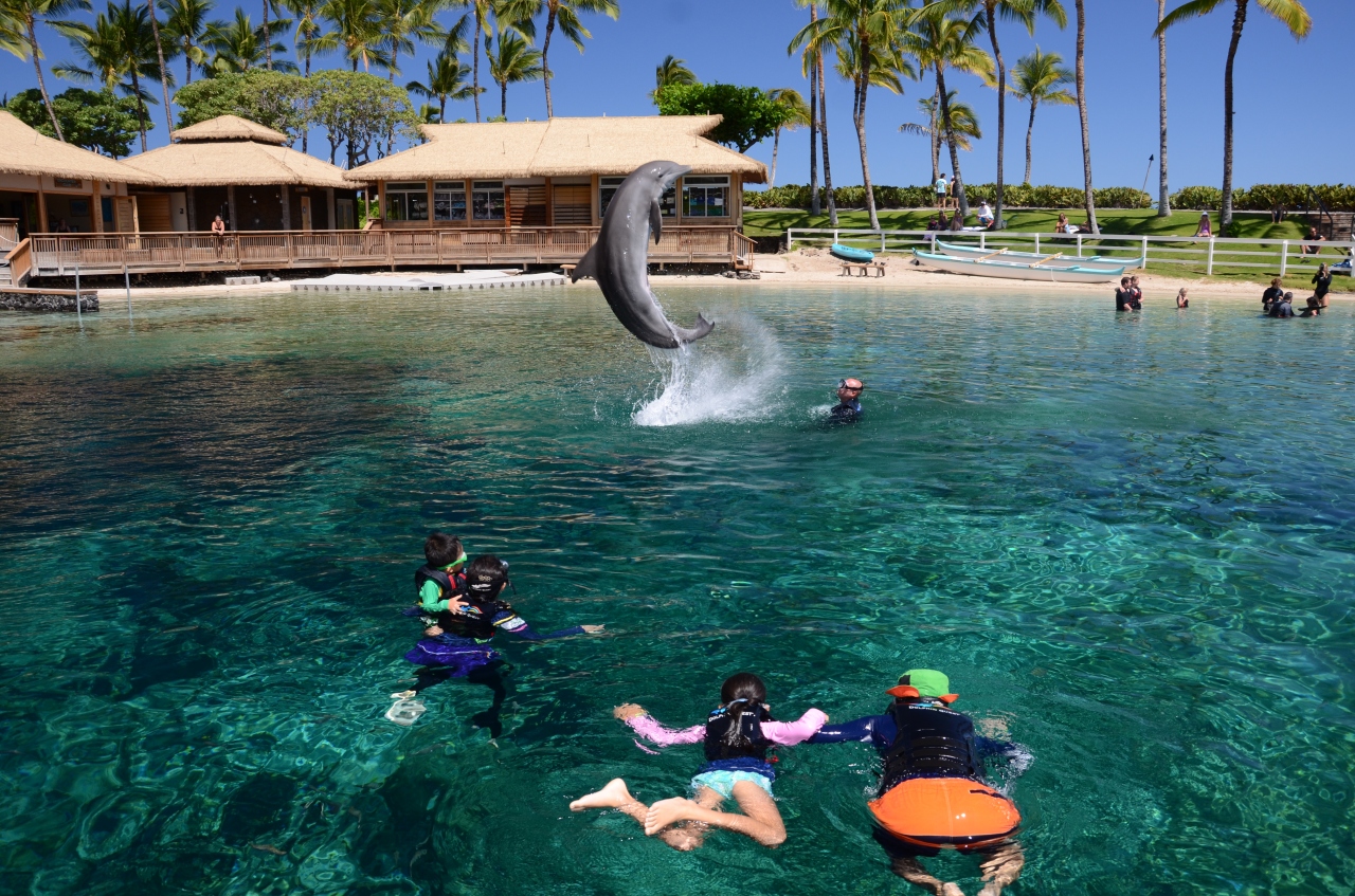 ヒルトンワイコロアビレッジでドルフィンクエスト ハワイ島 ハワイ の旅行記 ブログ By アユミさん フォートラベル