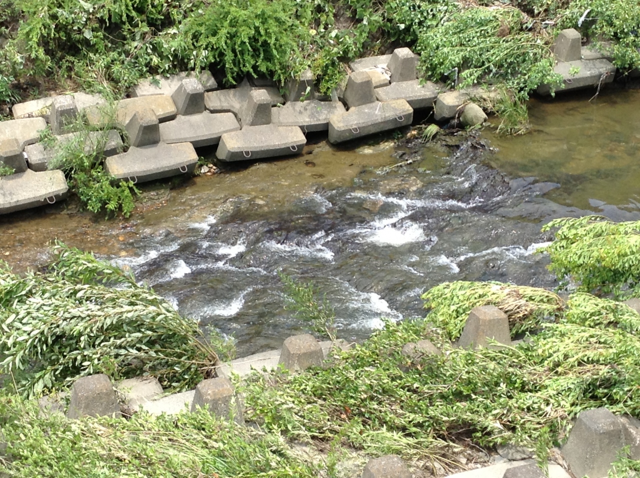 天白川から名古屋港へ 帰路編 愛知県の旅行記 ブログ By ぐっさんさん フォートラベル