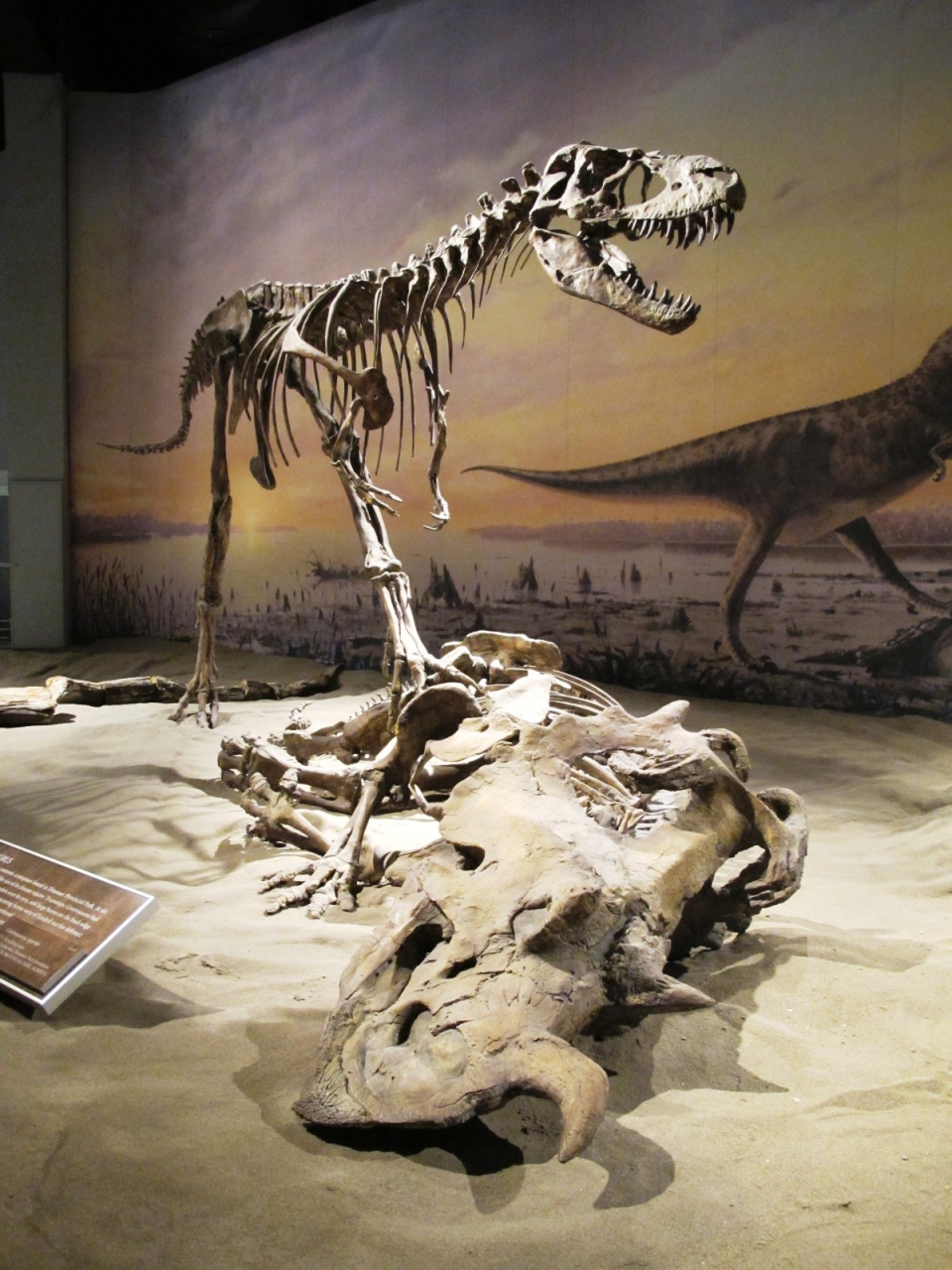 カナディアン ロッキー バッドランド 2 全8 恐竜の町ドラムヘラー 王立ティレル古生物博物館 バッドランド周辺 カナダ の旅行記 ブログ By 昆虫博士さん フォートラベル カナディアン ロッキー バッドランド 2 全8 恐竜の町ドラムヘラー 王立ティレル古生物博物館 バッドランド周辺 カナダ の旅行記 ブログ By 昆虫博士さん フォートラベル