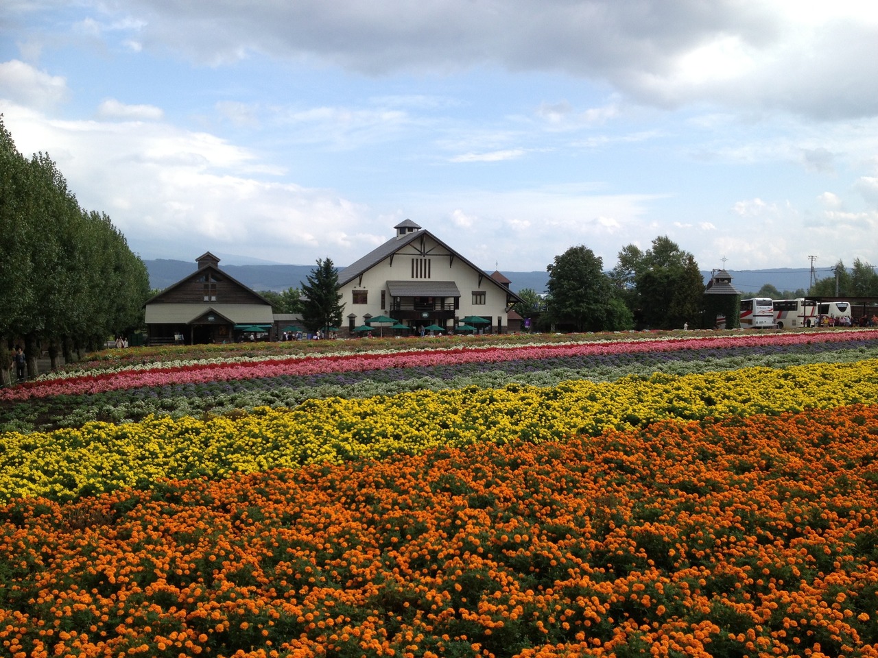 13年9月の北海道5 富良野 富良野 北海道 の旅行記 ブログ By Ruruさん フォートラベル