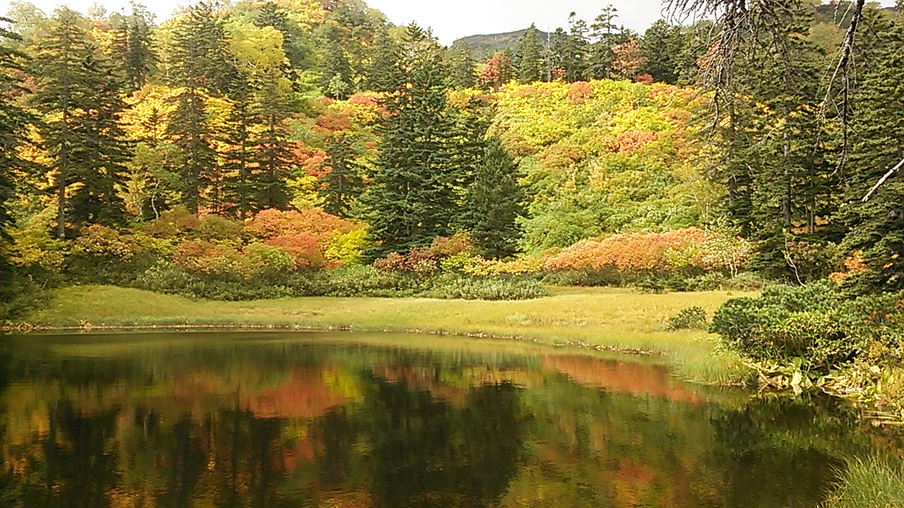 13 紅葉の北海道3泊4日 最終日 大雪高原温泉 紅葉沼巡り 東川 上川 北海道 の旅行記 ブログ By マルネコさん フォートラベル