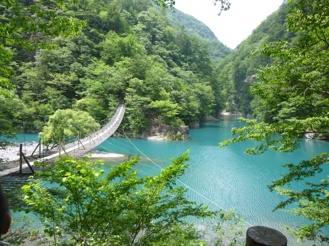 ヤマハリゾートとｓｌ 5歳 2歳子連れ旅行 静岡県の旅行記 ブログ By プルメリア さん フォートラベル