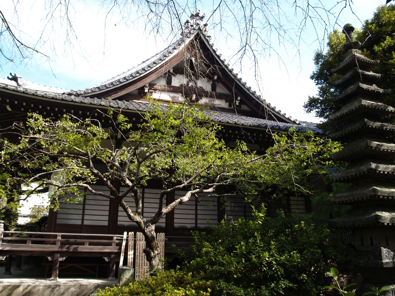 鎌倉安国論寺 富士山が望める鎌倉の日蓮宗寺院 鎌倉 神奈川県 の旅行記 ブログ By ドクターキムルさん フォートラベル