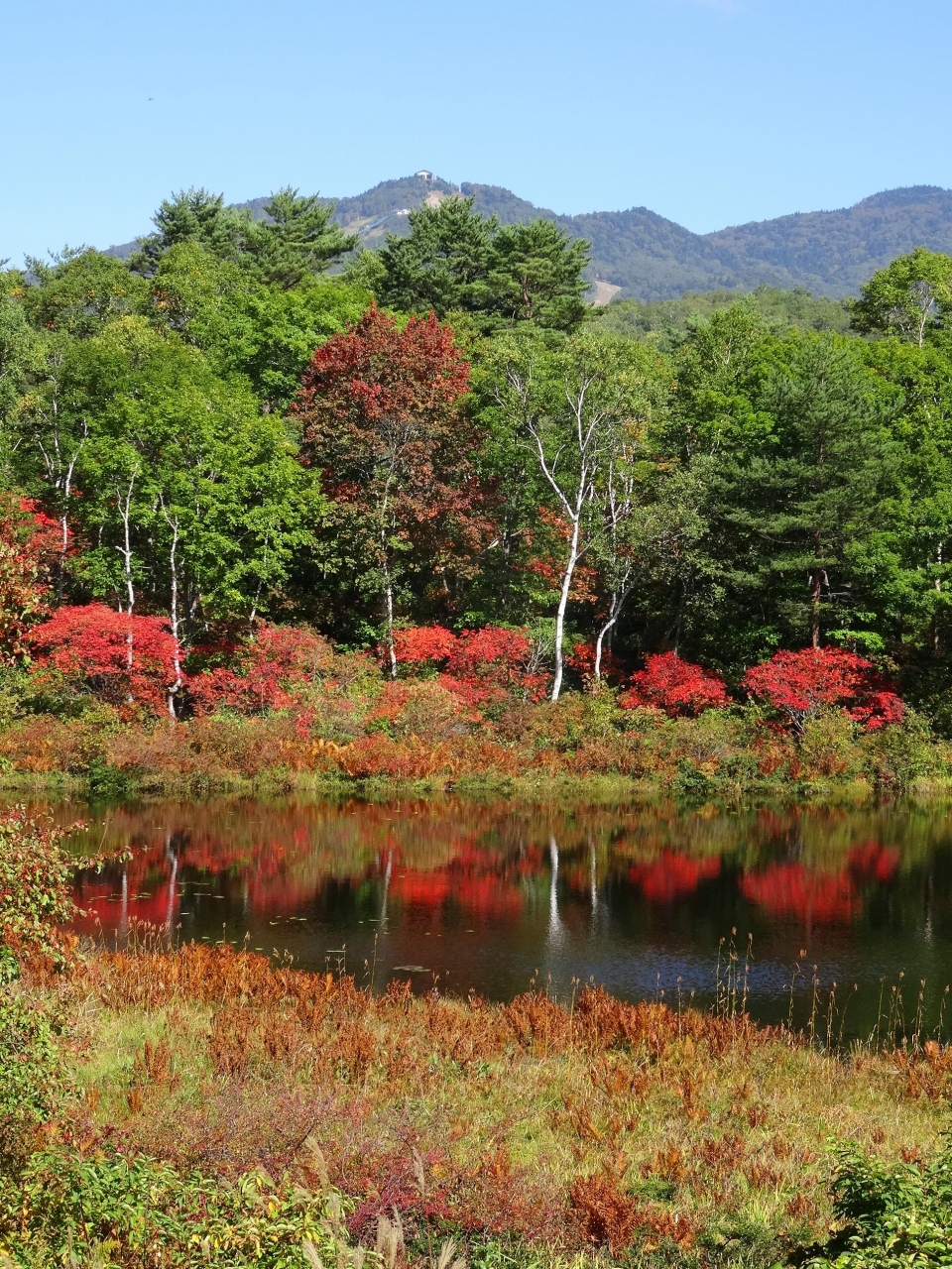 志賀高原の紅葉 妙高高原からの絶景を楽しむ秋旅 １ 紅葉が始まった志賀高原で緑色の温泉に浸かる 湯田中渋温泉郷 志賀高原 長野県 の旅行記 ブログ By ゆっこさん フォートラベル