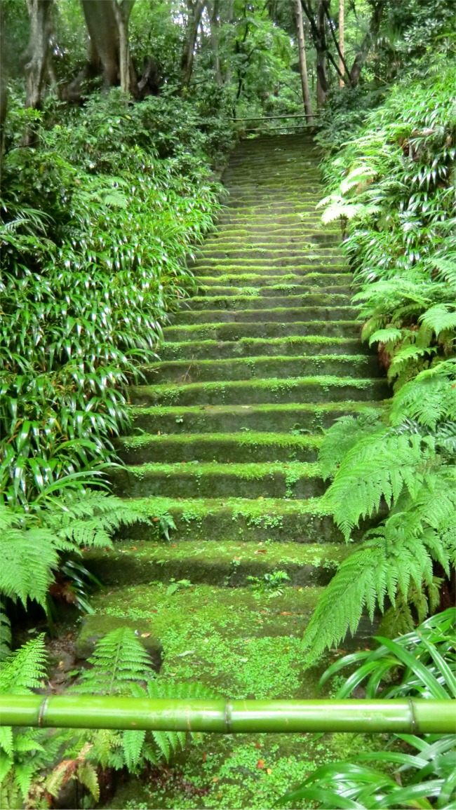 あじさいの鎌倉2 苔寺 妙法寺と妙本寺 鎌倉 神奈川県 の旅行記 ブログ By まりも母さん フォートラベル