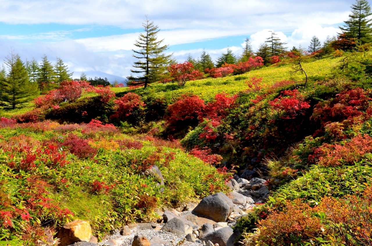 13年紅葉名所巡り １ 草津白根山の紅葉の主役はナナカマド 草津温泉 群馬県 の旅行記 ブログ By 玄白さん フォートラベル