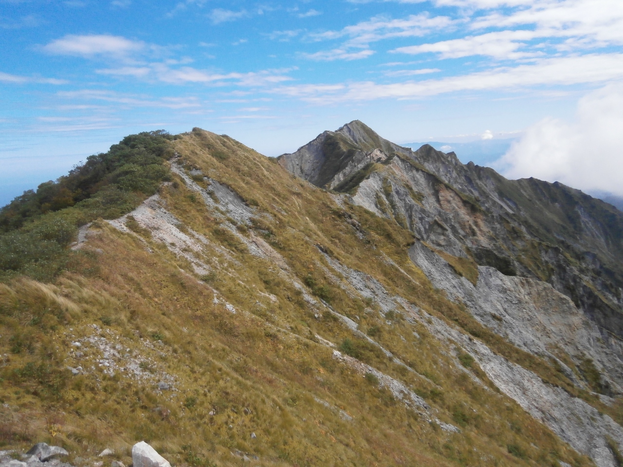 チロル 白樺に関する旅行記 ブログ フォートラベル 大山周辺 チロル 白樺に関する旅行記 ブログ フォートラベル 大山周辺