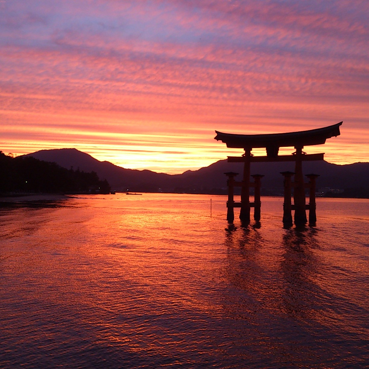 美味しい旅 広島 宮島13 秋 宮島 厳島神社 広島県 の旅行記 ブログ By Junさん フォートラベル