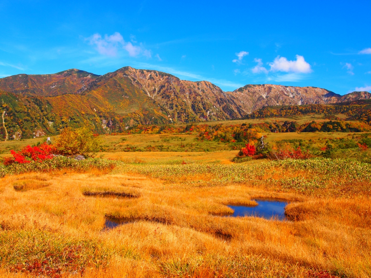 立山黒部アルペンルート 極上の日帰り紅葉狩りトレッキング In 弥陀ヶ原 立山黒部 富山県 の旅行記 ブログ By Marieeeyさん フォートラベル 立山黒部アルペンルート 極上の日帰り紅葉狩りトレッキング In 弥陀ヶ原 立山黒部 富山県 の旅行記 ブログ By Marieeeyさん フォートラベル