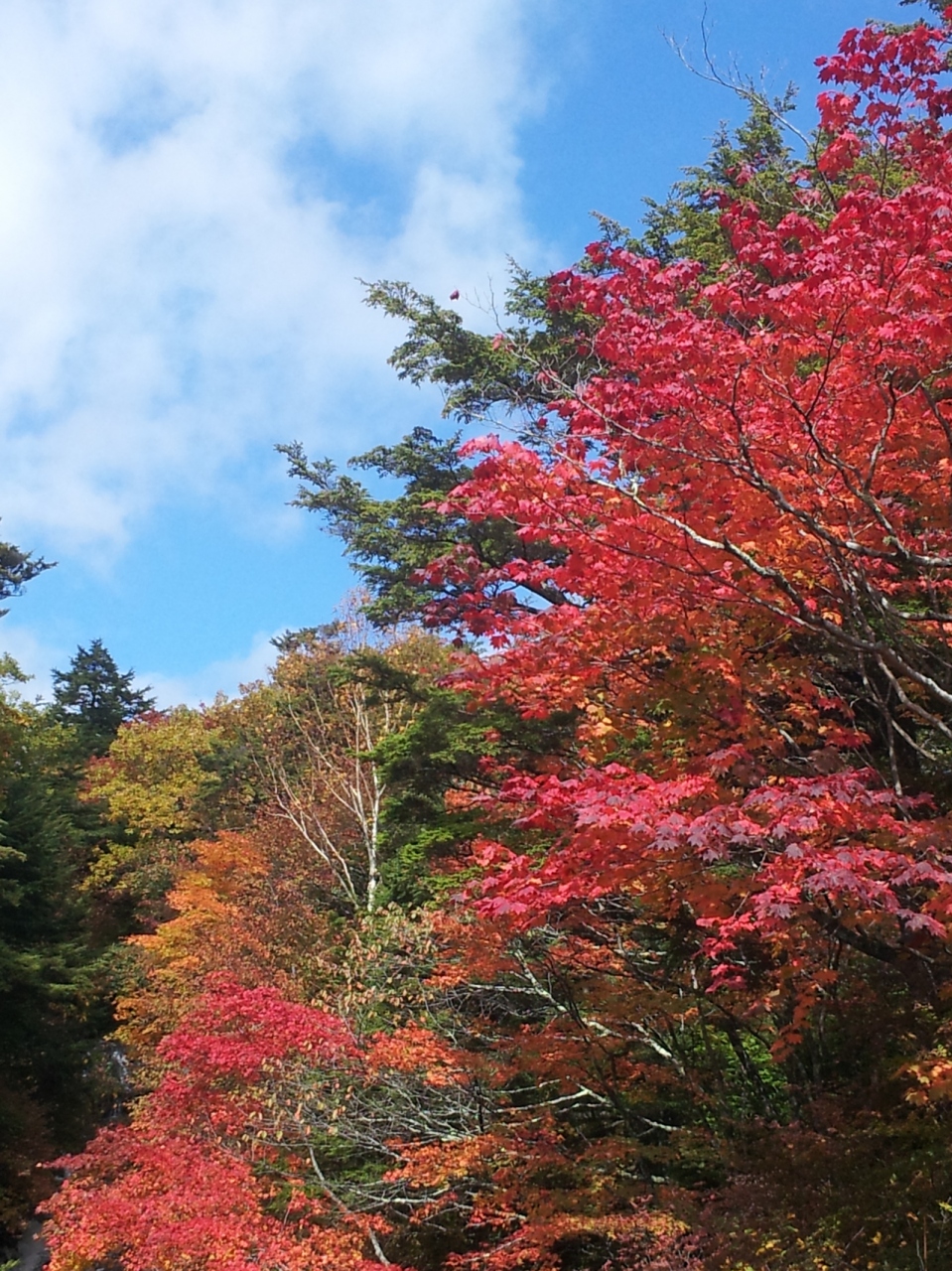 奥日光 紅葉は始まってました 日光 栃木県 の旅行記 ブログ By Amさん フォートラベル