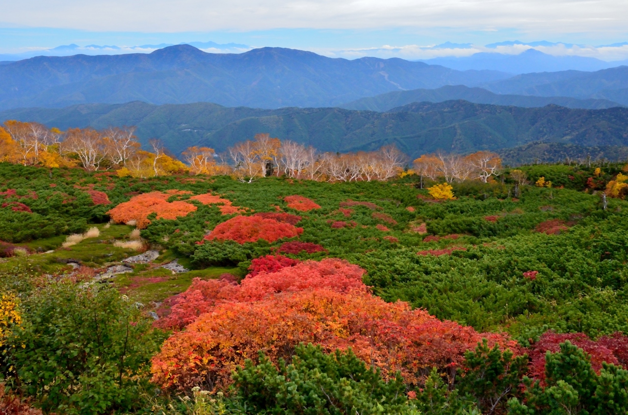 13年紅葉名所巡り 3 乗鞍エコーラインの紅葉 乗鞍 長野県 の旅行記 ブログ By 玄白さん フォートラベル 13年紅葉名所巡り 3 乗鞍エコーラインの紅葉 乗鞍 長野県 の旅行記 ブログ By 玄白さん フォートラベル