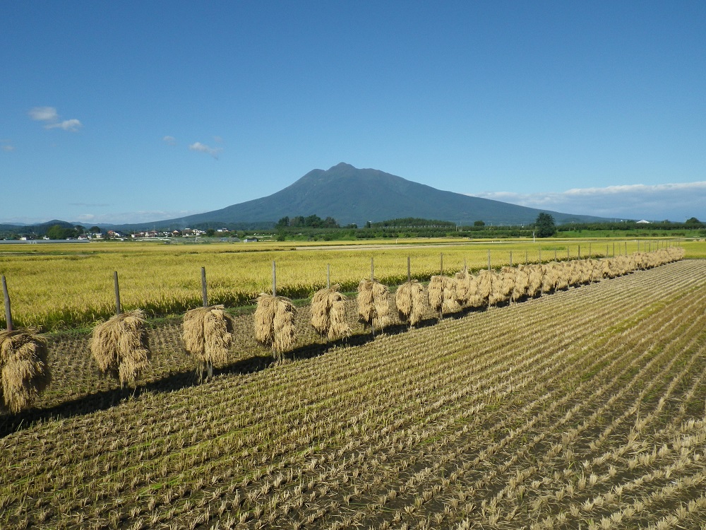 秋の素敵な田園風景 弘前 青森県 の旅行記 ブログ By ヒロナルドさん フォートラベル 秋の素敵な田園風景 弘前 青森県 の旅行記 ブログ By ヒロナルドさん フォートラベル