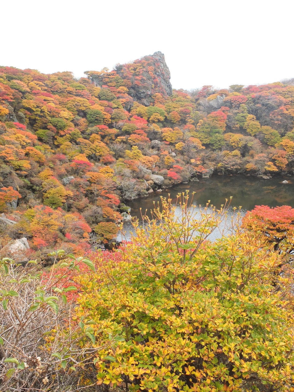 紅葉と原生林のくじゅうを歩く 大船山へ 久住高原 大分県 の旅行記 ブログ By フーテンオヤジさん フォートラベル