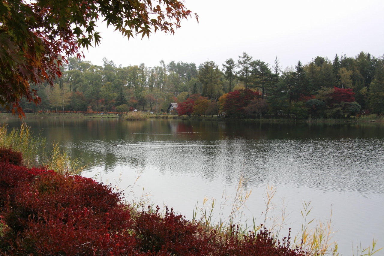 蓼科湖 紅葉を愛でながらランチ 最高のスパイスに感激 白樺湖 蓼科 車山 長野県 の旅行記 ブログ By クロベーちゃんさん フォートラベル 蓼科湖 紅葉を愛でながらランチ 最高のスパイスに感激 白樺湖 蓼科 車山 長野県 の旅行記 ブログ By クロベーちゃんさん フォートラベル