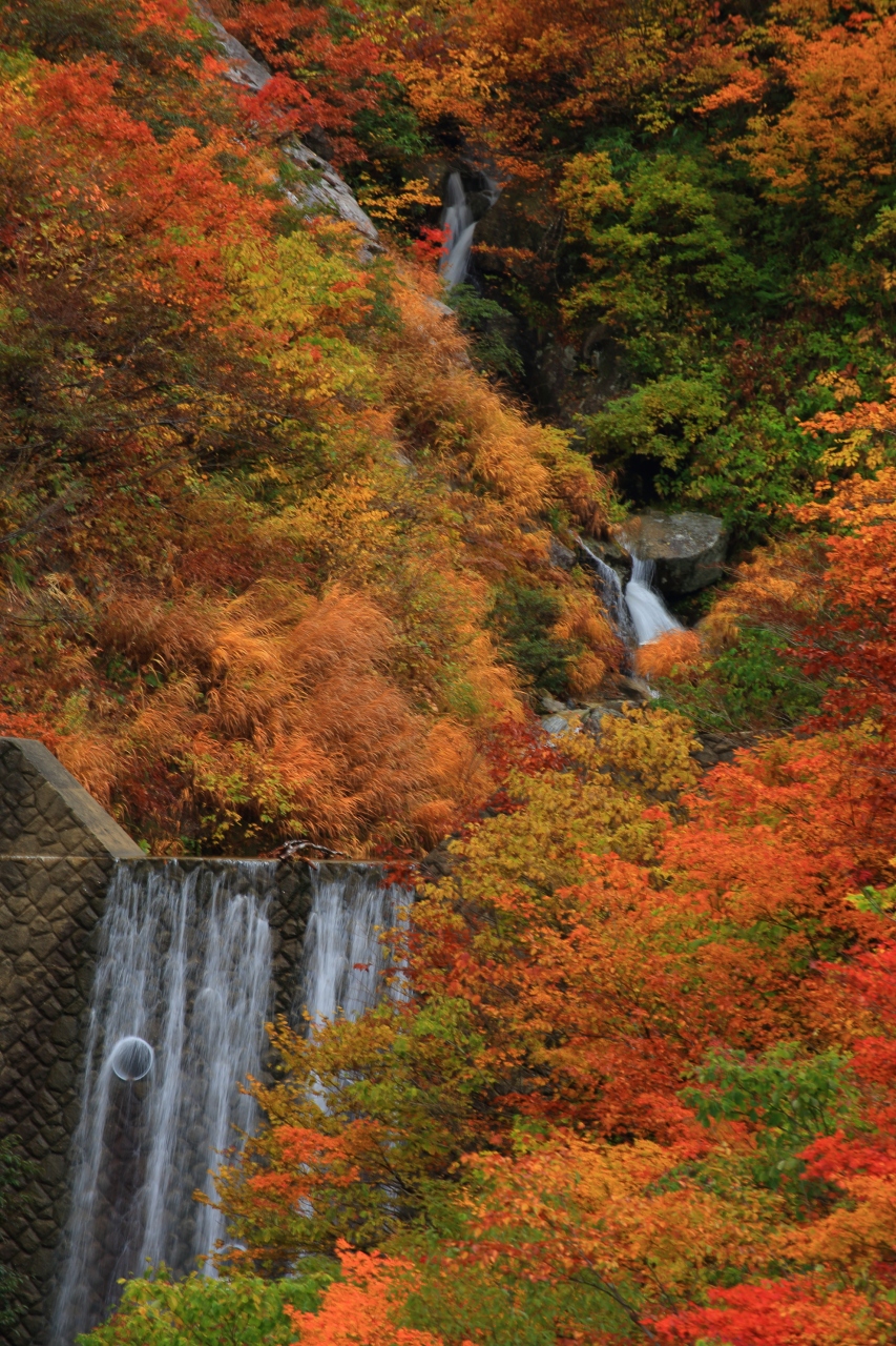 石川 白山スーパー林道の紅葉 白山 白峰温泉 一里野温泉 石川県 の旅行記 ブログ By ふーさん フォートラベル