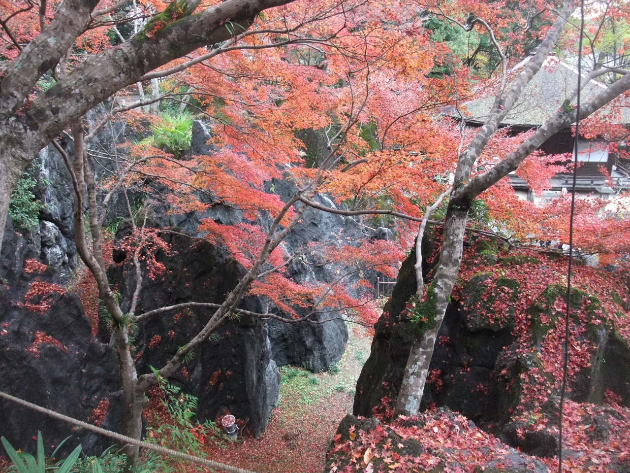 11 12 滋賀 大津 坂本 近江八幡 石山寺周辺 滋賀県 の旅行記 ブログ By Mo2さん フォートラベル