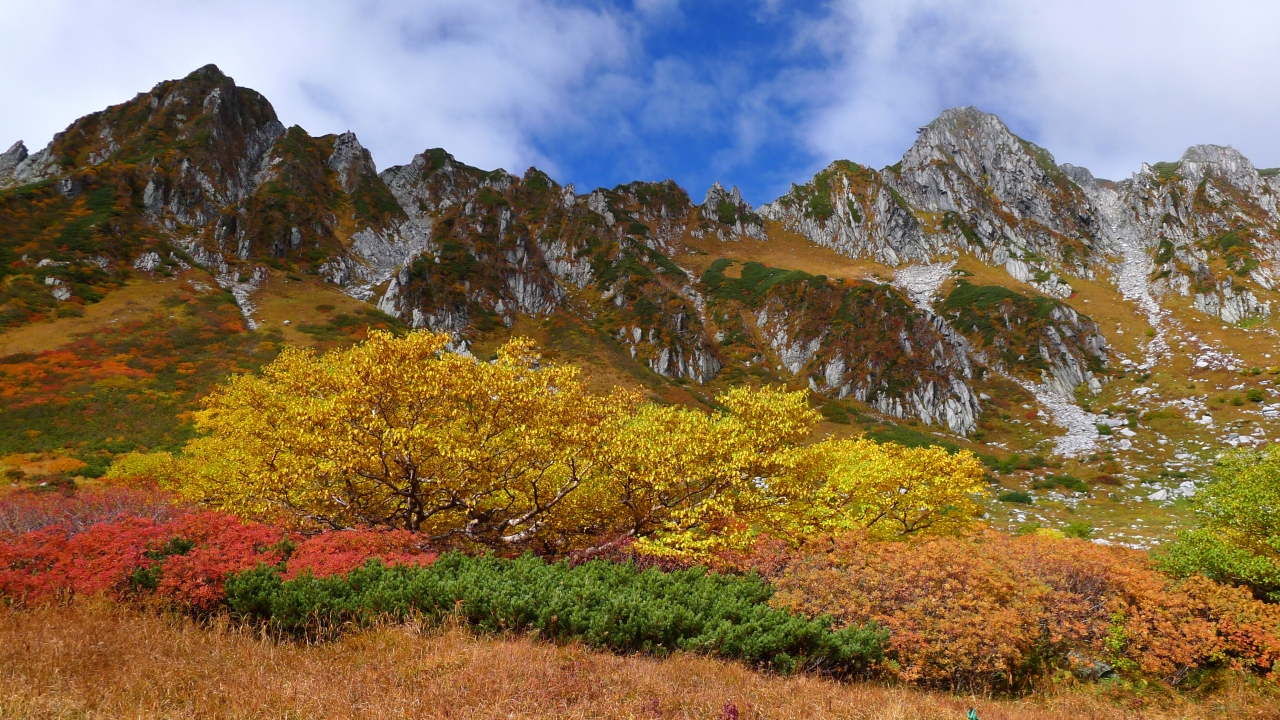 中央アルプス千畳敷カールを紅葉散策 駒ヶ根 長野県 の旅行記 ブログ By ハッキーさん フォートラベル 中央アルプス千畳敷カールを紅葉散策 駒ヶ根 長野県 の旅行記 ブログ By ハッキーさん フォートラベル