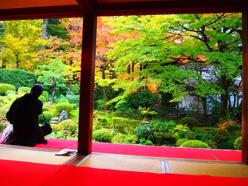 京都の紅葉をめぐる 三千院編 八瀬 大原 貴船 鞍馬 京都 の旅行記 ブログ By Ru Naさん フォートラベル