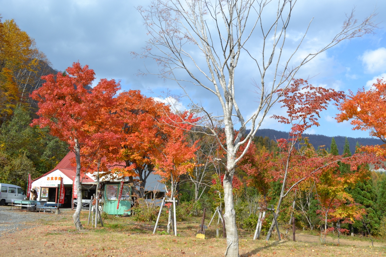 奥裾花渓谷の紅葉真っ盛り ほっぺが落ちるお焼き 長野市 長野県 の旅行記 ブログ By エステ大好きさん フォートラベル 奥裾花渓谷の紅葉真っ盛り ほっぺが落ちるお焼き 長野市 長野県 の旅行記 ブログ By エステ大好きさん フォートラベル