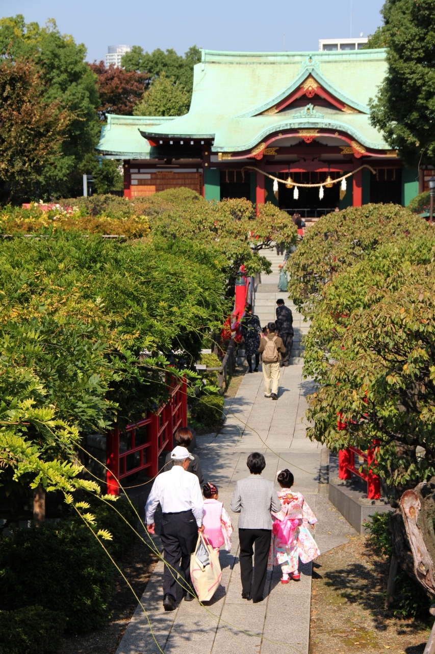 亀戸天神菊まつり 亀戸 東京 の旅行記 ブログ By サニーライフ平井さん フォートラベル