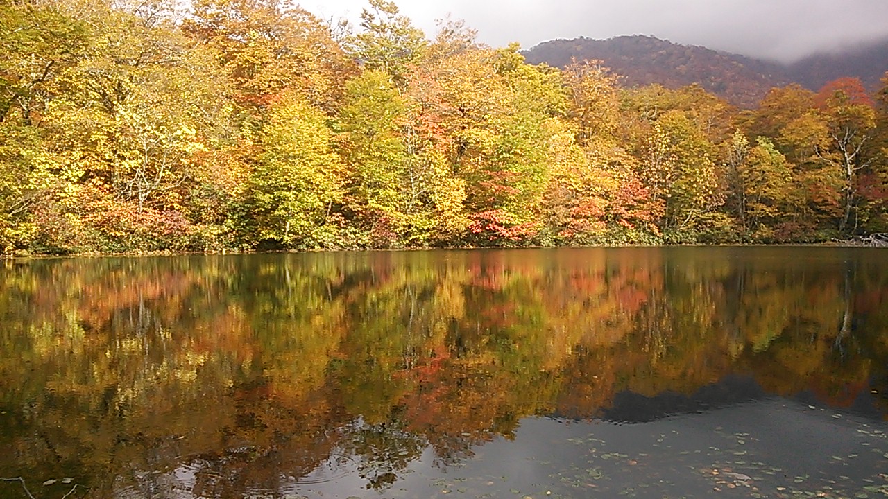 13 刈込池の紅葉 大野 福井県 の旅行記 ブログ By マルネコさん フォートラベル 13 刈込池の紅葉 大野 福井県 の旅行記 ブログ By マルネコさん フォートラベル