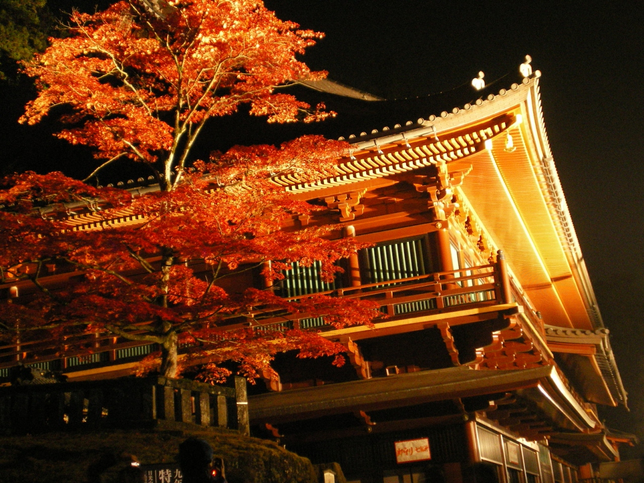 ライトアップ日光 日光 栃木県 の旅行記 ブログ By ミコタンさん フォートラベル
