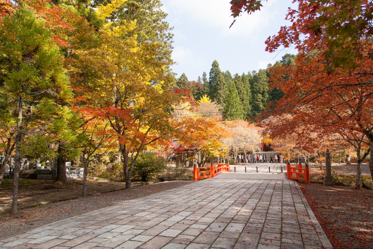 高野山 紅葉ドライブ 高野山周辺 和歌山県 の旅行記 ブログ By 人見知りのサンタさん フォートラベル