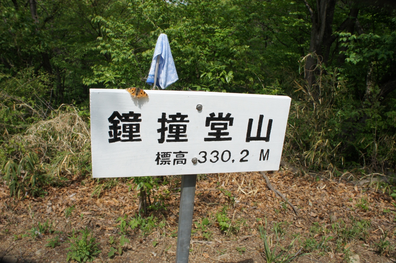 仲間と行く春のハイキング 釣鐘堂山 飯能 埼玉県 の旅行記 ブログ By ラブラーさん フォートラベル