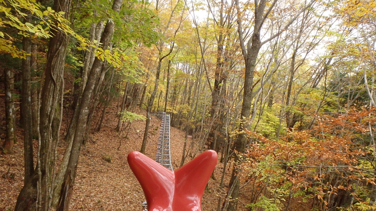 奥祖谷観光周遊モノレールの紅葉 祖谷渓 かずら橋 大歩危 徳島県 の旅行記 ブログ By 隠居人はせじぃさん フォートラベル