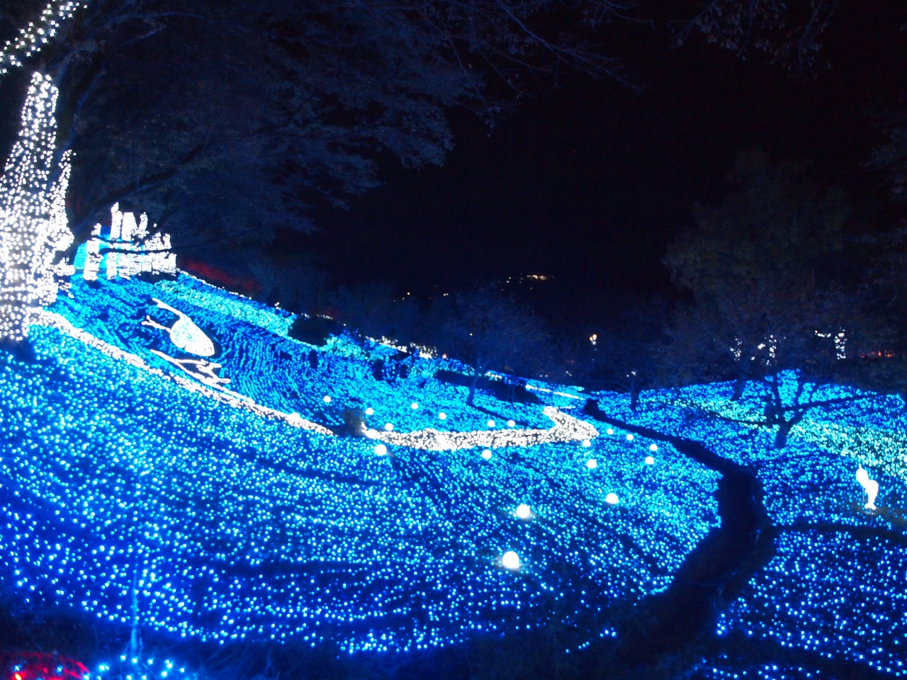 真っ暗な中に映えるイルミネーション 津久井湖 相模湖 神奈川県 の旅行記 ブログ By けろさん フォートラベル