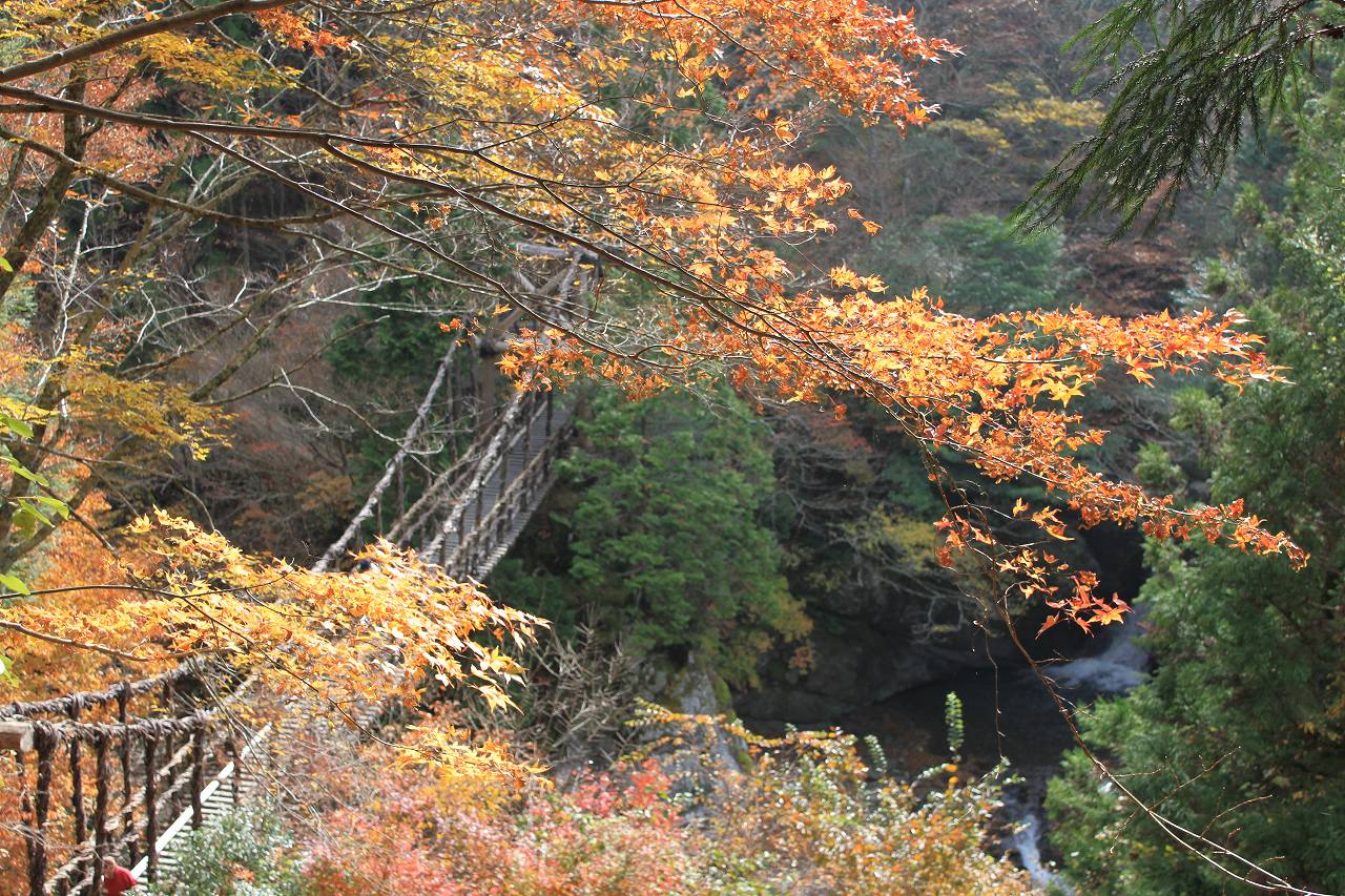 奥祖谷の秘境とうどんめぐりの旅 １日目 祖谷渓 かずら橋 大歩危 徳島県 の旅行記 ブログ By 旅好き長さんさん フォートラベル