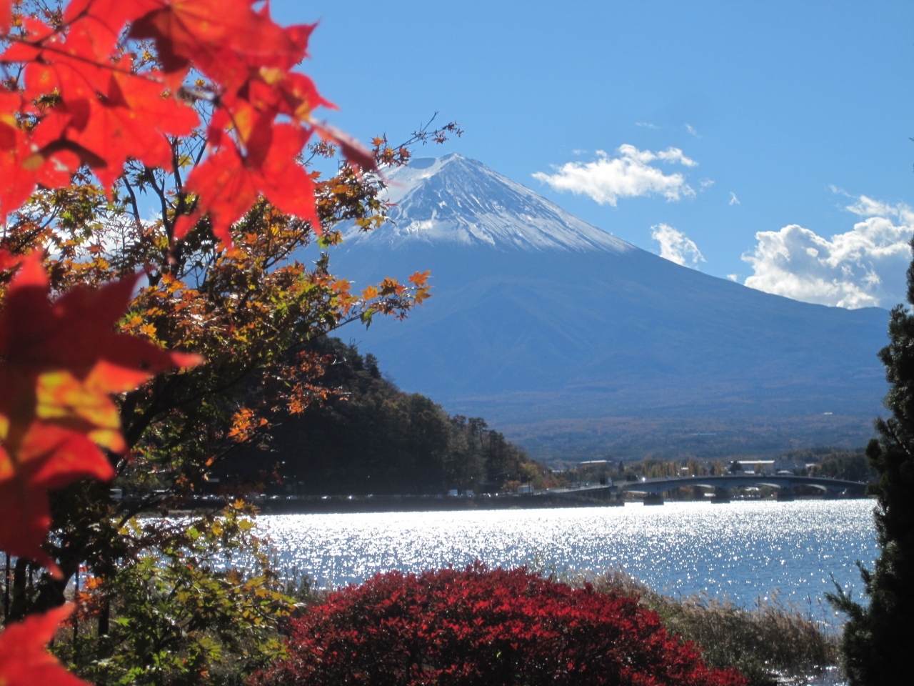 13年 河口湖の紅葉と富士山 綺麗でした 富士五湖 山梨県 の旅行記 ブログ By Ooうさぎさん フォートラベル