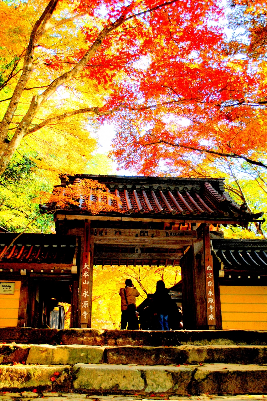 永源寺 東近江 の紅葉 湖東三山 多賀 東近江 滋賀県 の旅行記 ブログ By Ryujiさん フォートラベル