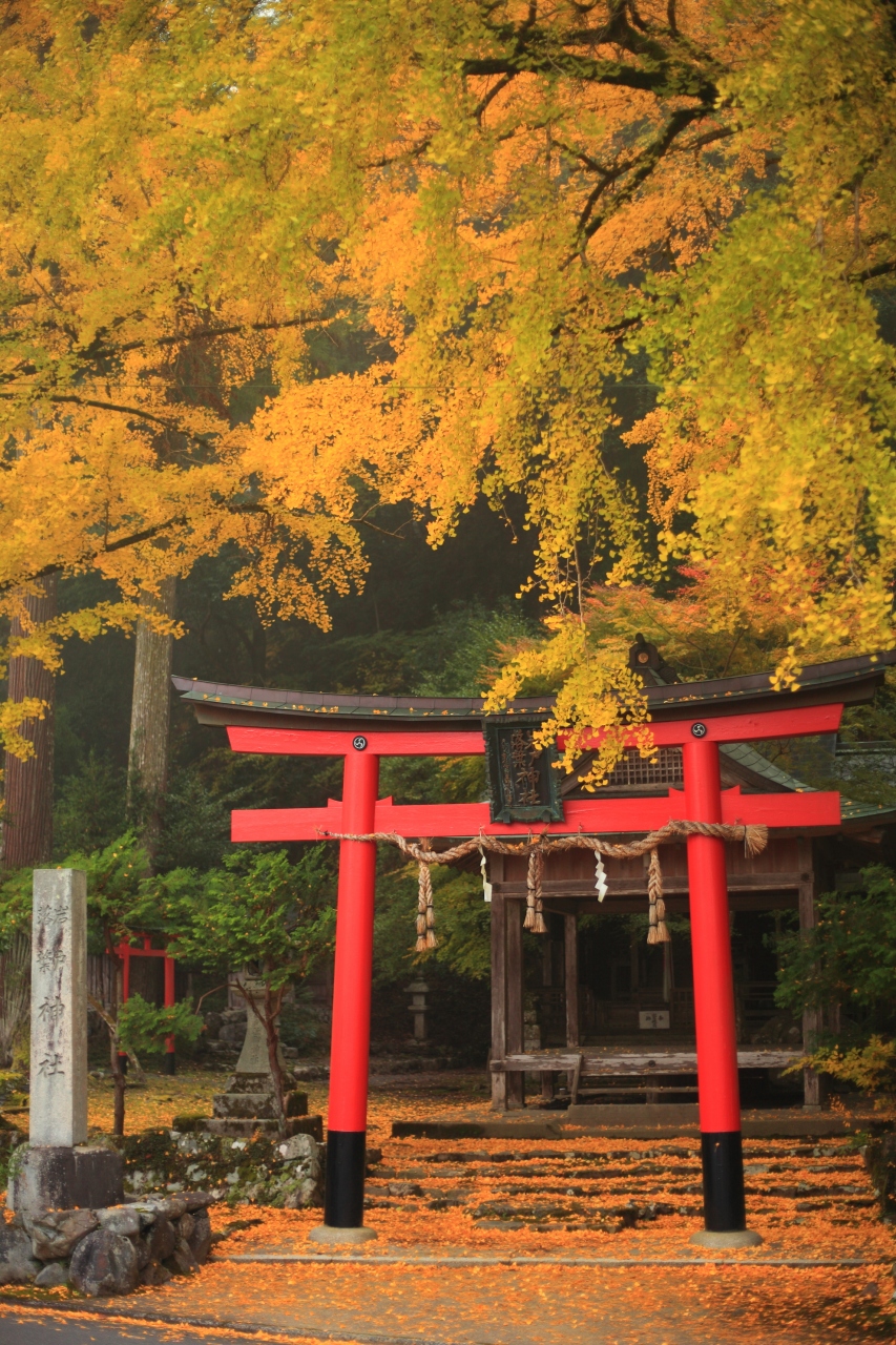 京都 紅葉めぐり 岩戸落葉神社 常照皇寺 嵐山 嵯峨野 太秦 桂 京都 の旅行記 ブログ By ふーさん フォートラベル