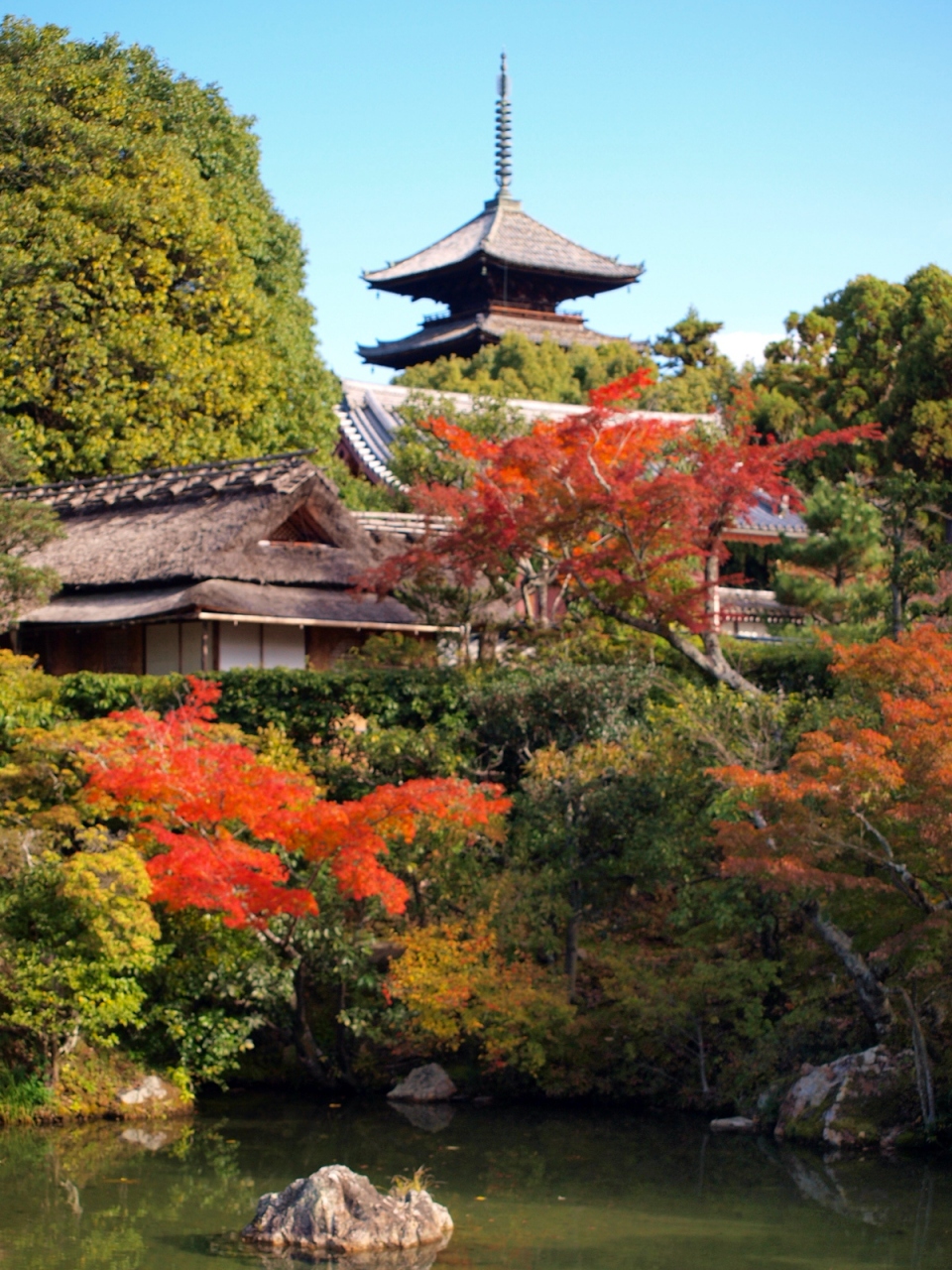 京都の秋 13 紅葉を探して 6 御室 仁和寺 嵐山 嵯峨野 太秦 桂 京都 の旅行記 ブログ By まりあさん フォートラベル 京都の秋 13 紅葉を探して 6 御室 仁和寺 嵐山 嵯峨野 太秦 桂 京都 の旅行記 ブログ By まりあさん フォートラベル