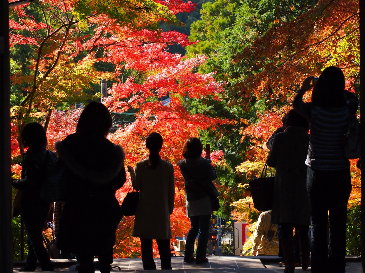 見頃だ 急げ 鎌倉紅葉 13 円覚寺 源氏山公園 海蔵寺 鎌倉 神奈川県 の旅行記 ブログ By Momotaさん フォートラベル 見頃だ 急げ 鎌倉紅葉 13 円覚寺 源氏山公園 海蔵寺 鎌倉 神奈川県 の旅行記 ブログ By Momotaさん フォートラベル